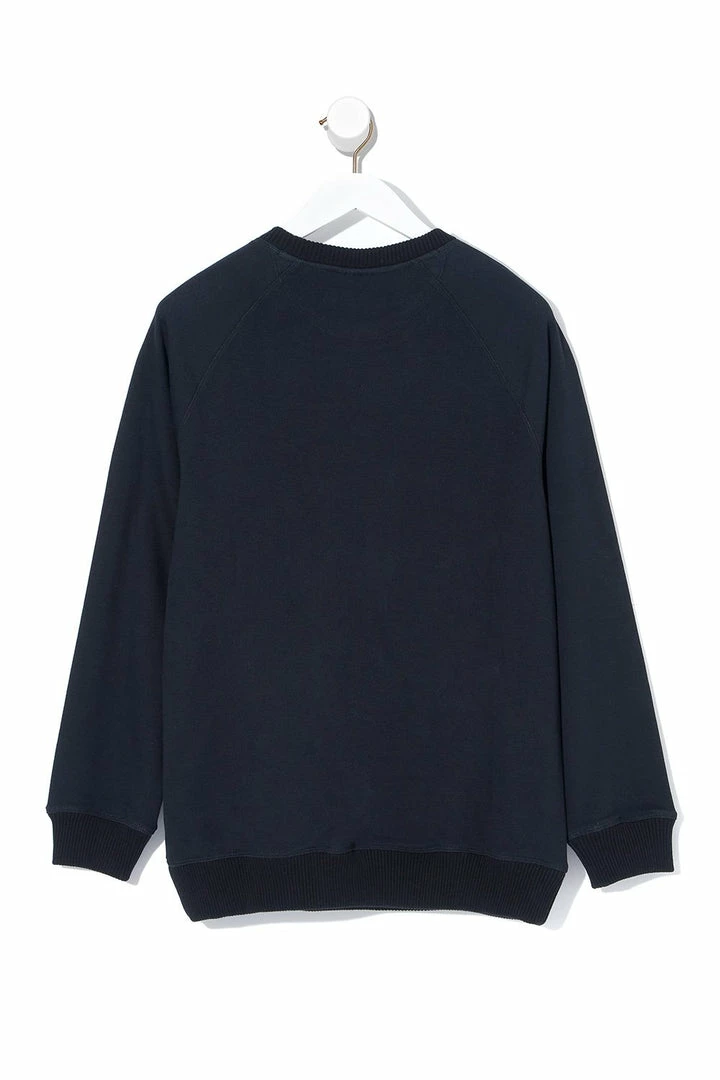 Camilla EBoutique (US) Up To 40% Off MENS ROUND NECK SWEATER WISE WINGS